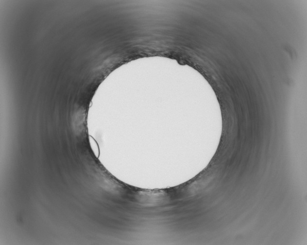 X0000110670480200907241026