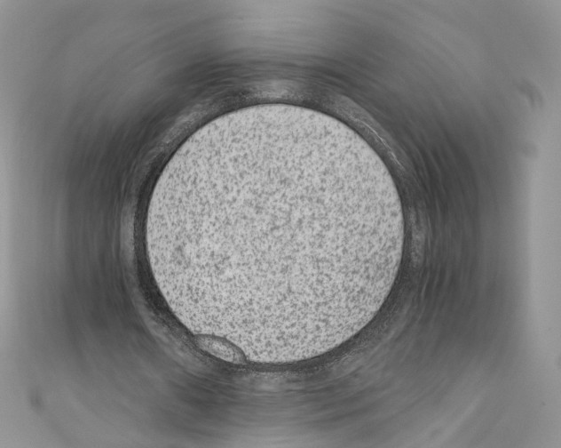 X0000110670482200907241025