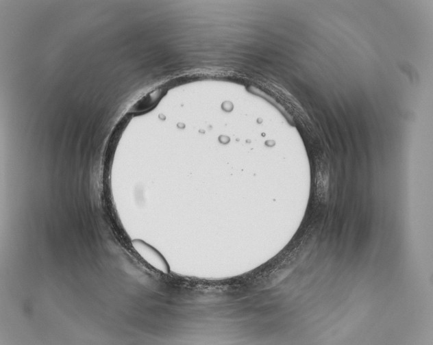 X0000110670484200907241025