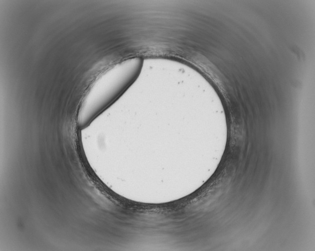 X0000110670485200907241025
