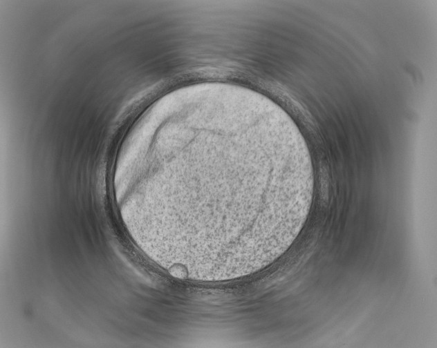 X0000110670486200907241025