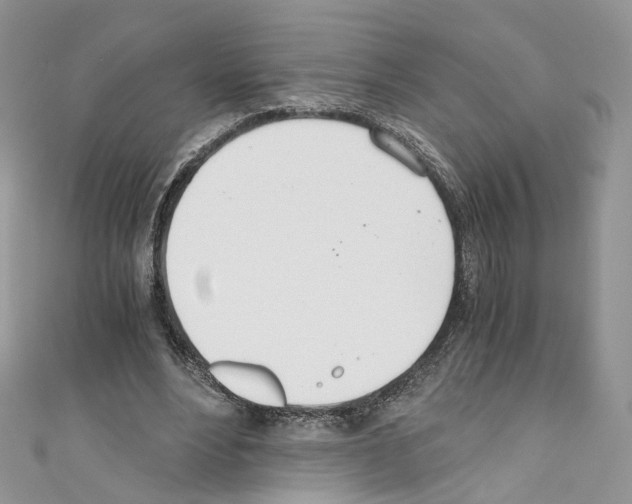 X0000110670488200907241025