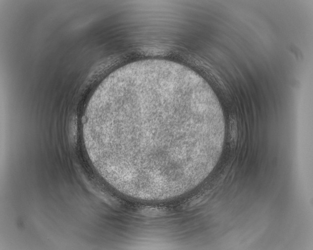 X0000110670494200907241025