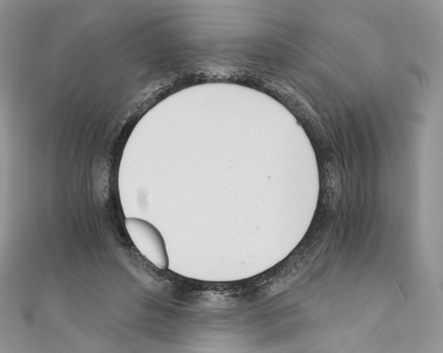X0000110670496200907241025