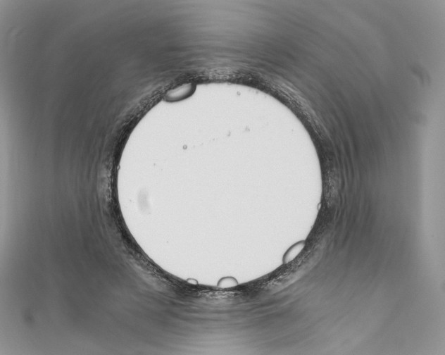X0000110670497200907241025