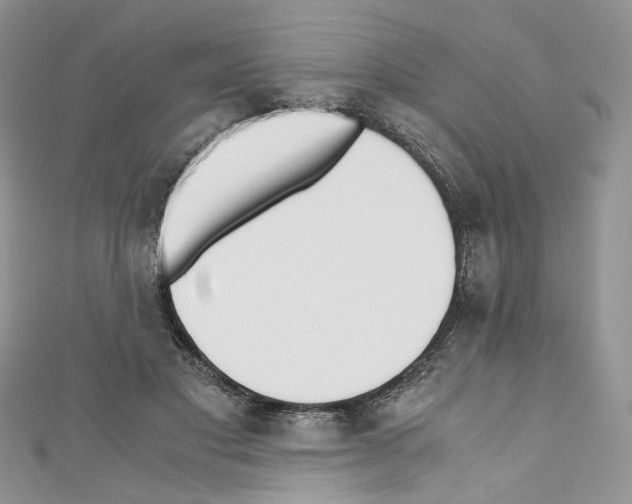 X0000110670501200907241025