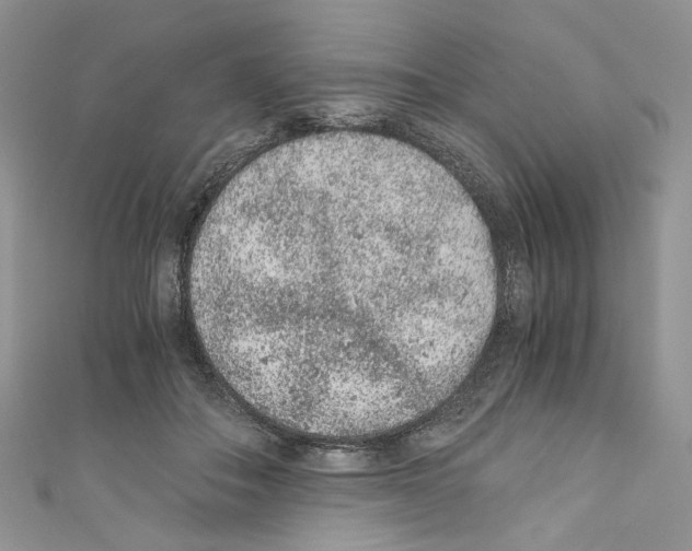 X0000110670506200907241025