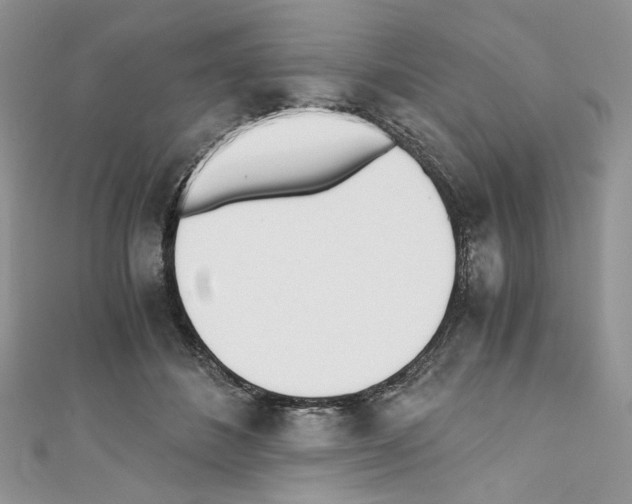 X0000110670508200907241025