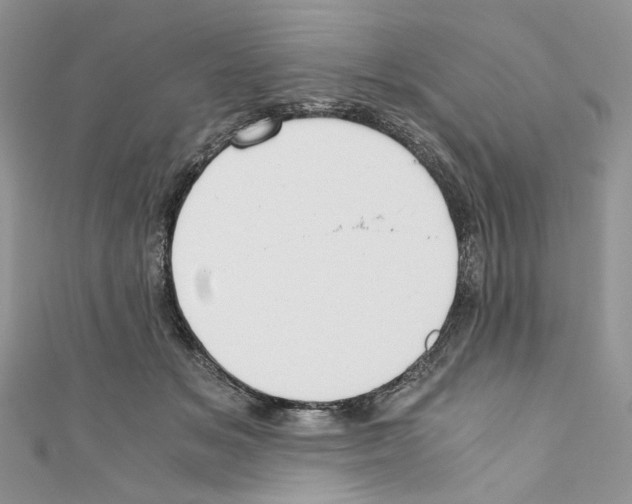 X0000110670509200907241025