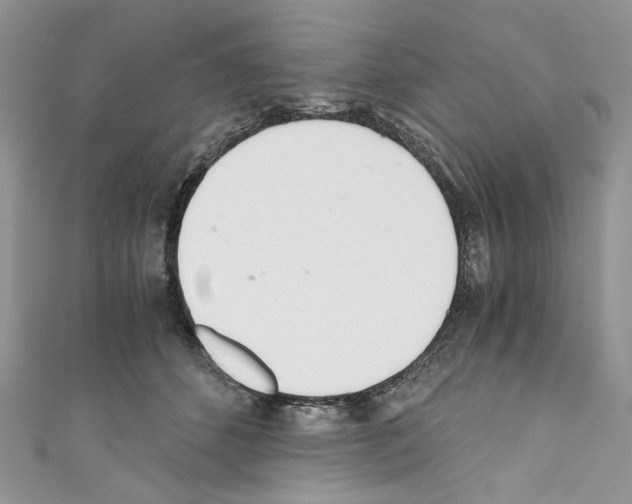 X0000110670512200907241025