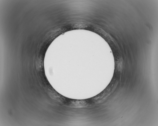 X0000110670517200907241025