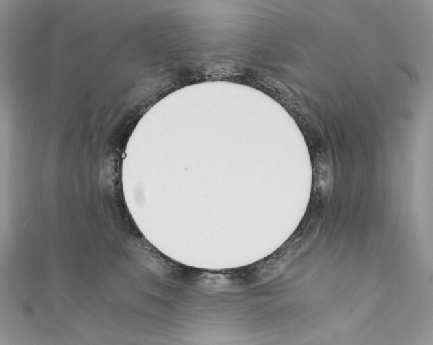 X0000110670519200907241025