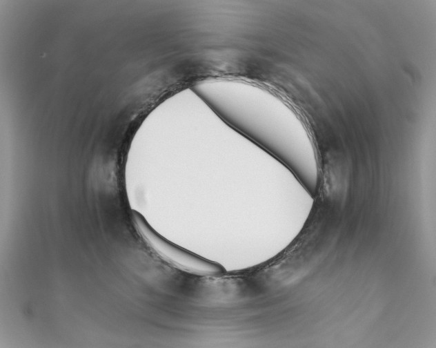 X0000110670520200907241025
