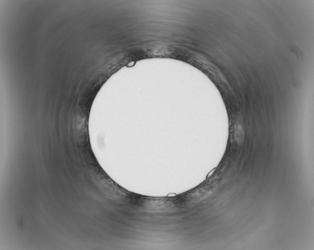 X0000110670521200907241025