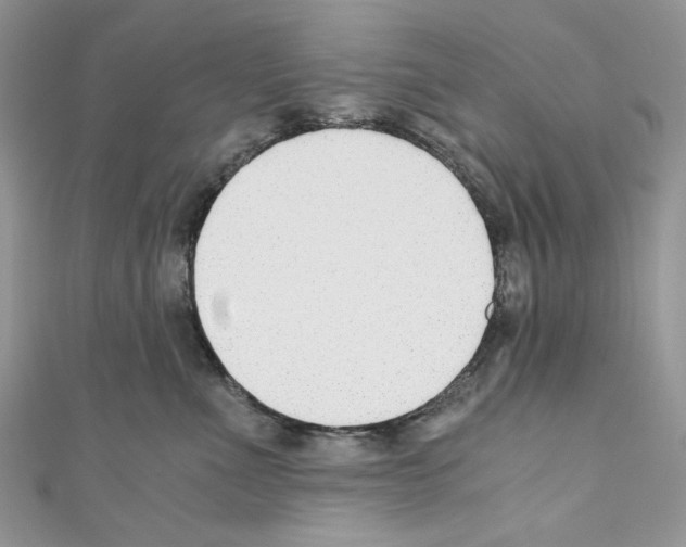 X0000110670523200907241025
