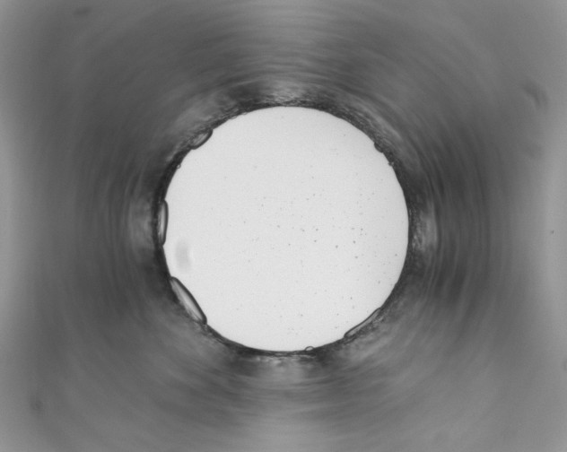 X0000110670524200907241025