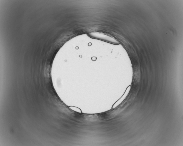 X0000110670525200907241025