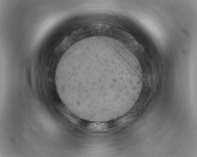 X0000110670526200907241025