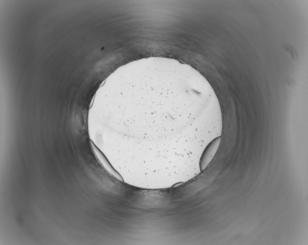 X0000110670528200907241025