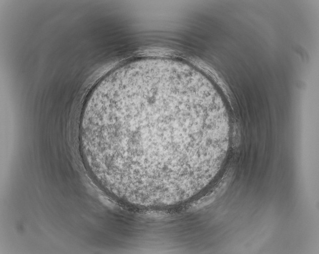 X0000110670529200907241024
