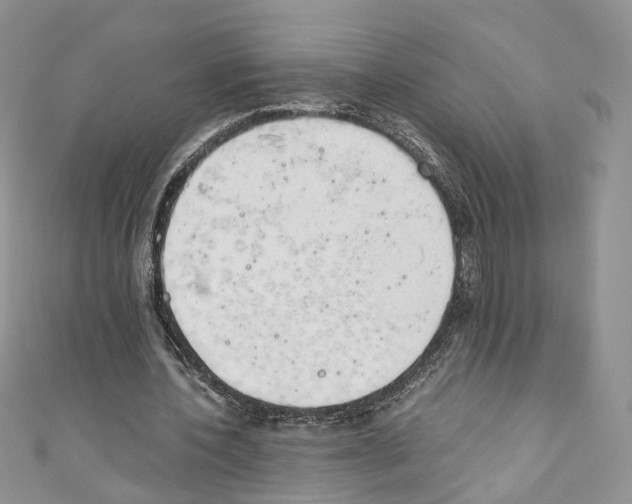 X0000110670532200907241024