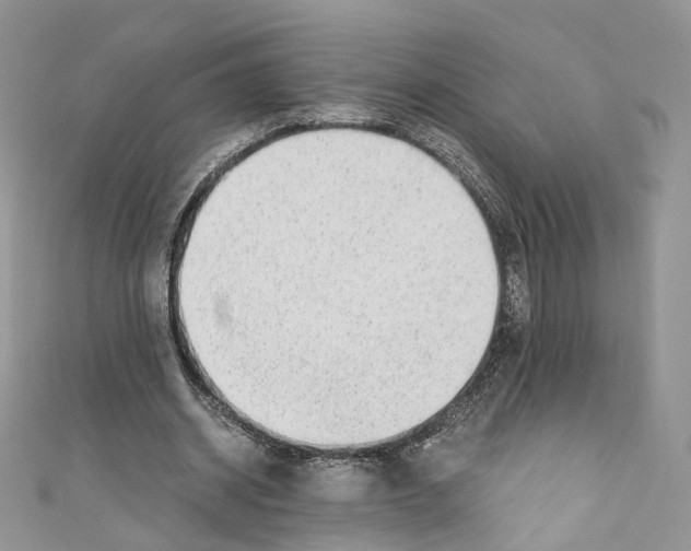 X0000110670534200907241024