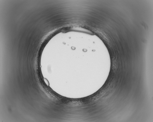 X0000110670536200907241024