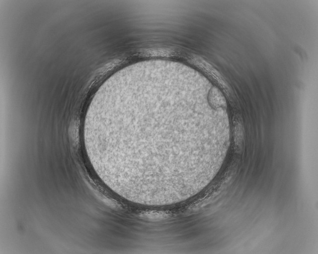 X0000110670537200907241024