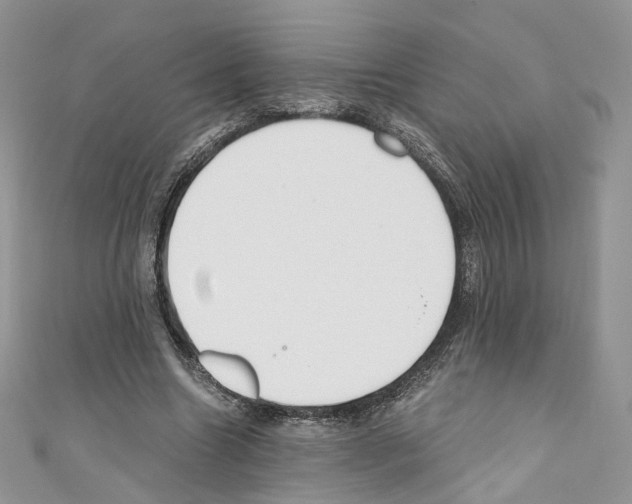 X0000110670538200907241024