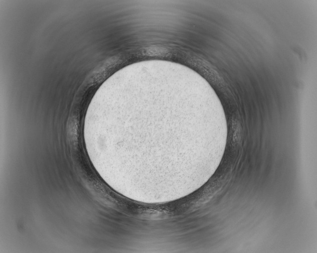 X0000110670542200907241024