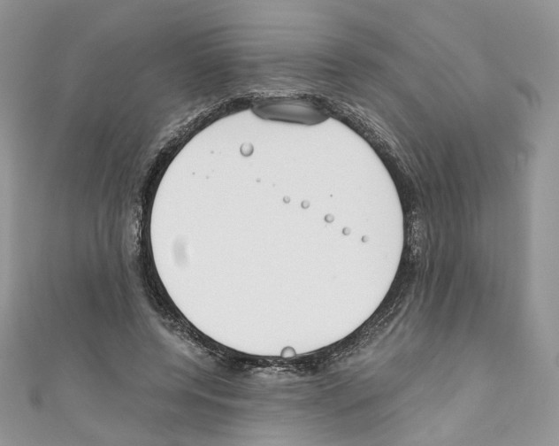 X0000110670544200907241024