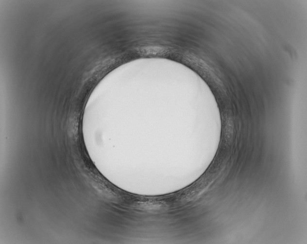 X0000110670545200907241024