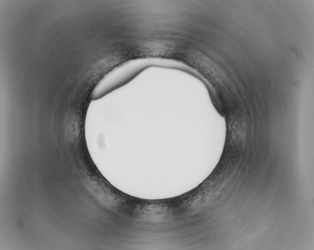 X0000110670546200907241024