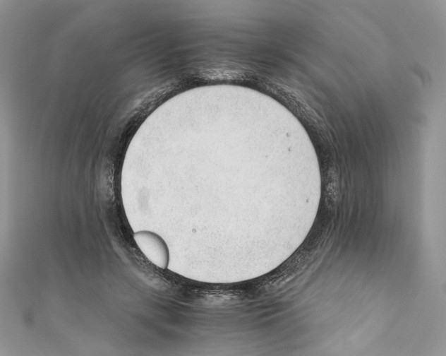 X0000110670547200907241024