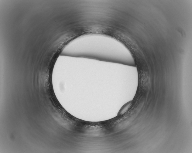 X0000110670548200907241024