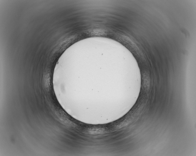 X0000110670549200907241024