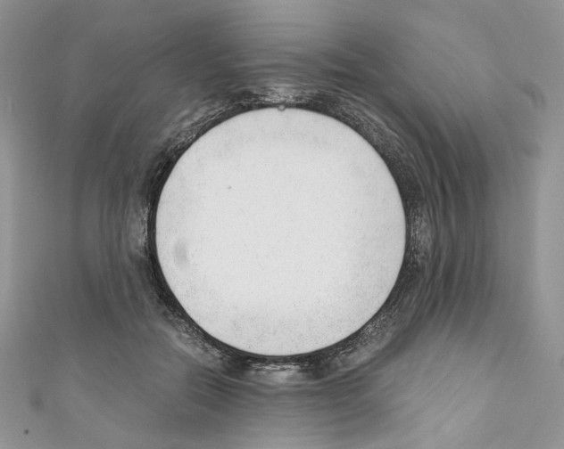 X0000110670554200907241024