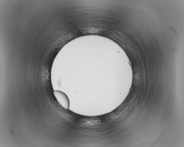 X0000110670555200907241024