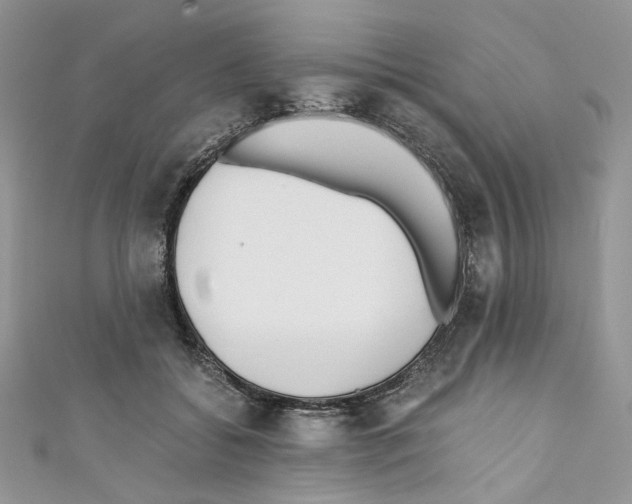 X0000110670556200907241024