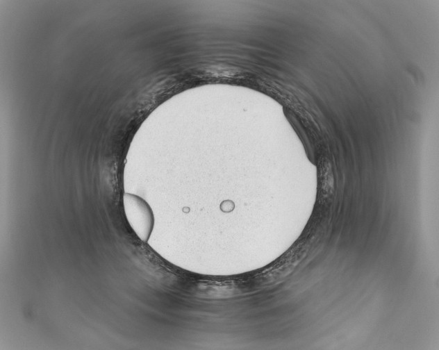 X0000110670559200907241025
