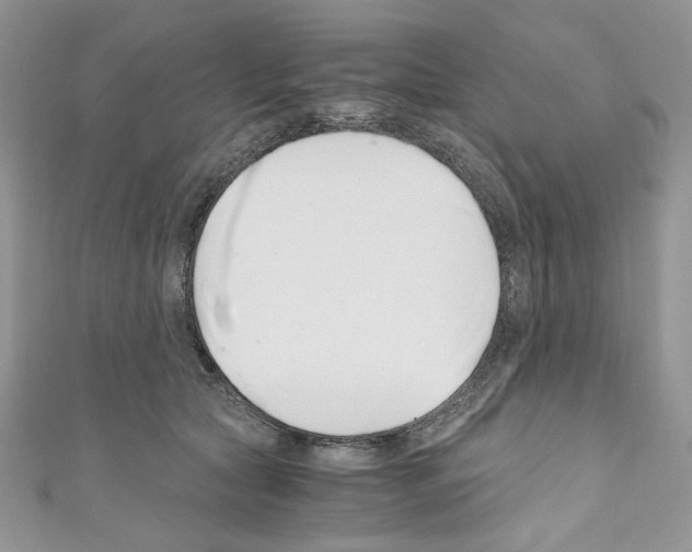 X0000110670561200907241025