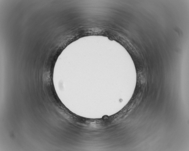 X0000110670564200907241025