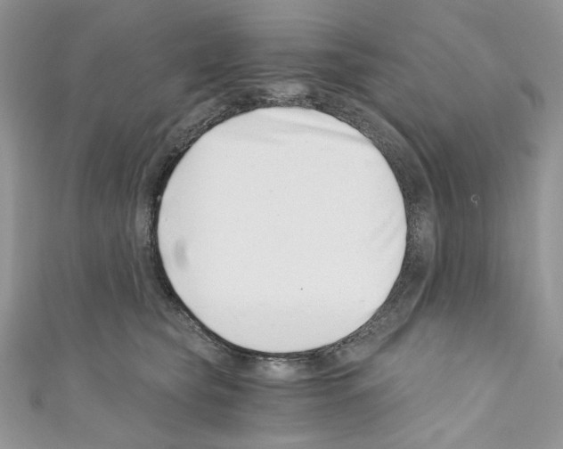 X0000110670565200907241025