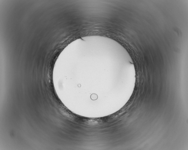 X0000110670566200907241025