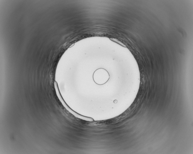 X0000110670568200907241025