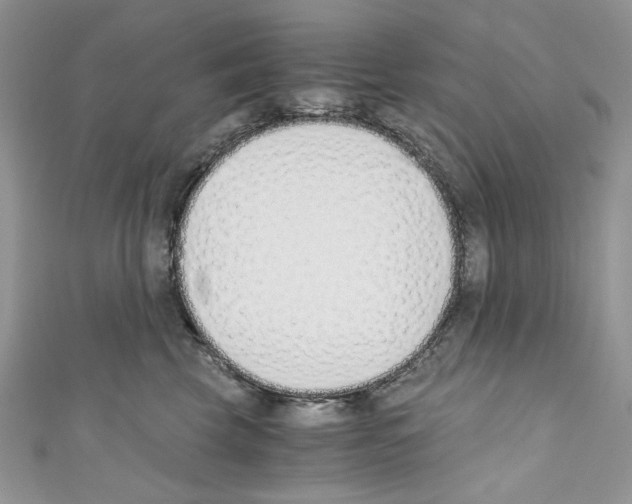 X0000110670569200907241025