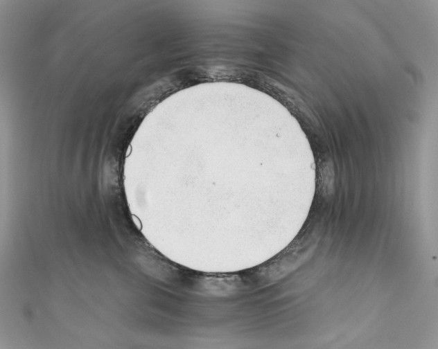X0000110670571200907241025