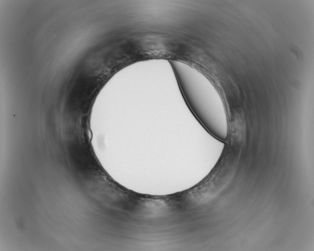 X0000110670572200907241025