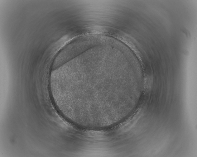 X0000110670577200907241024