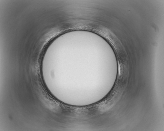 X0000110670579200907241024